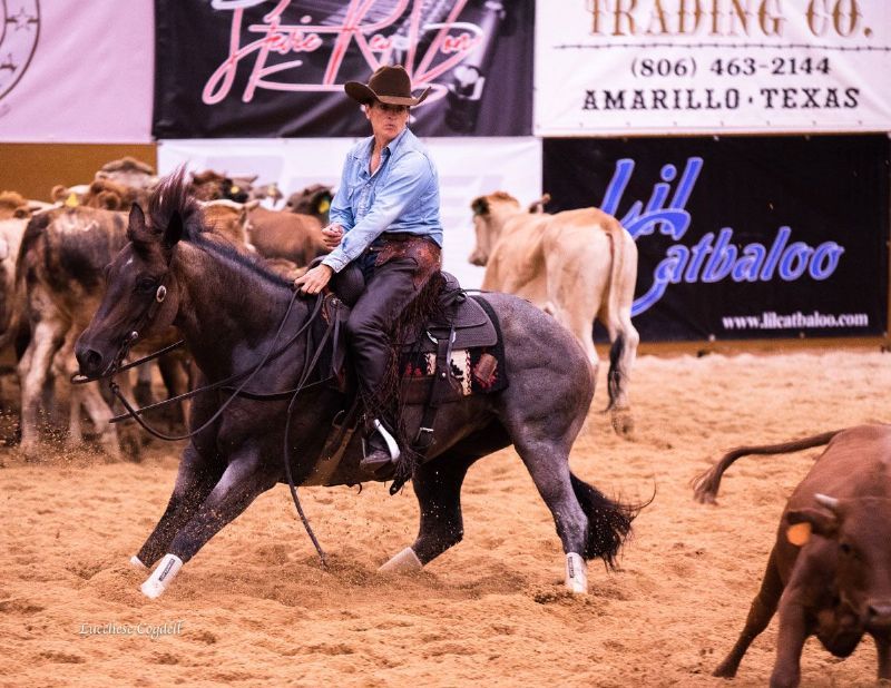Aug. 4-5, 2018 Show